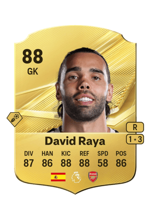 David Raya