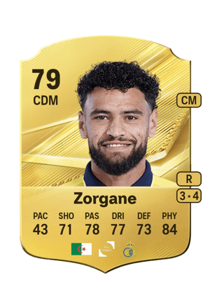 Zorgane